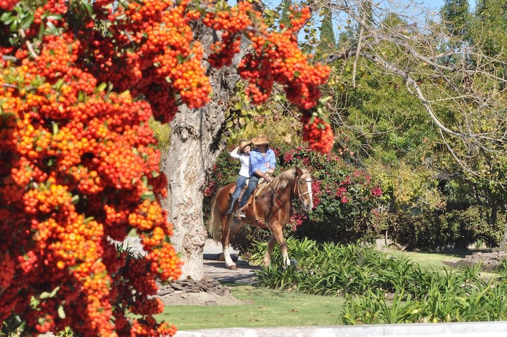 Hotel Hacienda Cantalagua Golf Contepec Екстер'єр фото
